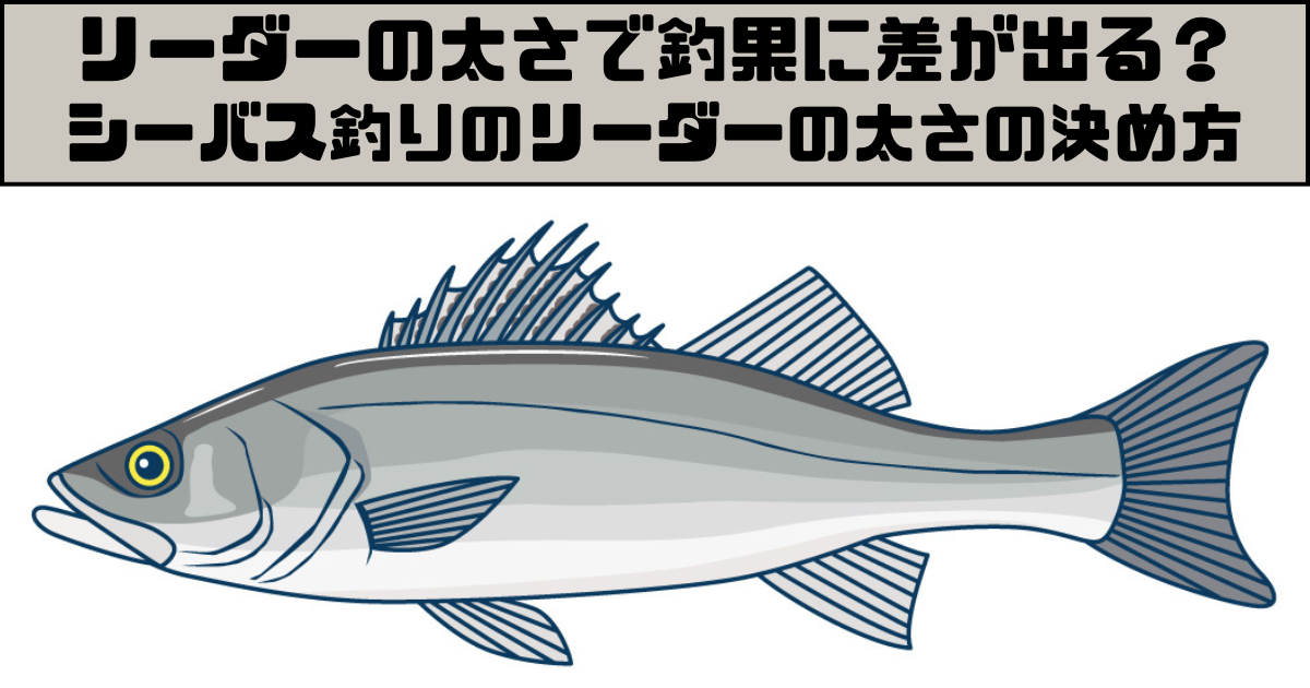 シーバスのショックリーダーの太さは何号？太さで釣果は変わる？ abs樹脂